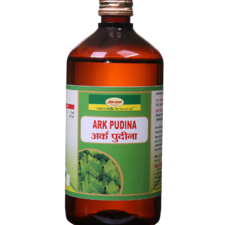 Ark Pudina 450ML